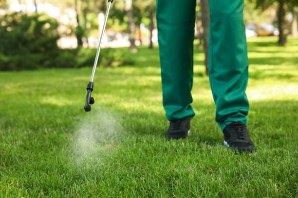 Best Pest Prevention Services  in Perry, IA