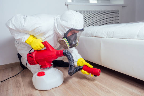 Best Pest Inspection Near Me  in Perry, IA