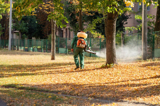 Best Pest Prevention Services  in Perry, IA