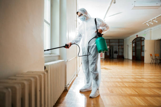 Best Affordable Pest Control Services  in Perry, IA