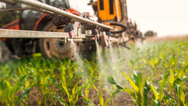 Best Pest Removal Services  in Perry, IA