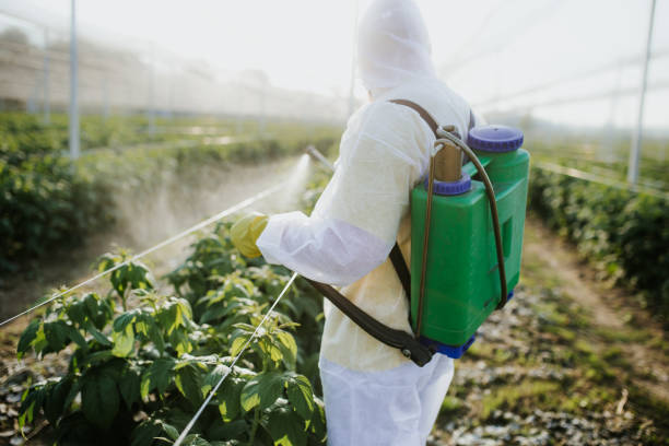 Professional Pest Control in Perry, IA